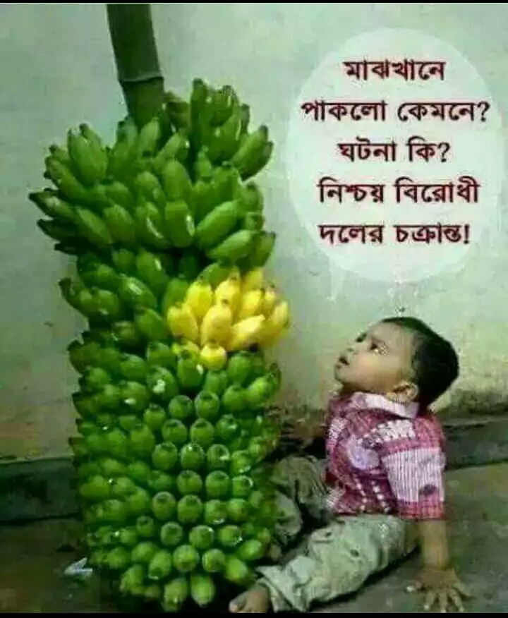 Funny Picture In Bangladesh Funny PNG